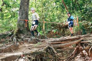 BIB: 
                            <button type="button" onclick="openModal(27717725)" class="btn btn-primary btn-sm float-right btn-popup" data-toggle="modal" data-target=".modal-high-quality">
                        <i class="fas fa-shopping-cart"></i> Add to Cart
                    </button>
                                            <button type="button" onclick="isThisMe(27717725, true)" class="btn btn-success btn-sm float-right btn-popup btn-isme hidden" data-toggle="tooltip" data-placement="bottom" title="นี่คือรูปของคุณใช่ไหม คลิกที่นี่เพื่อเอาเข้าอัลบั้ม">
                        <i class="fas fa-plus"></i> Add to album
                    </button>
                    <button type="button" onclick="isThisMe(27717725, false)" class="btn btn-warning btn-sm float-right btn-popup btn-isnotme hidden">
                        <i class="fas fa-ban"></i> Remove from album
                    </button>